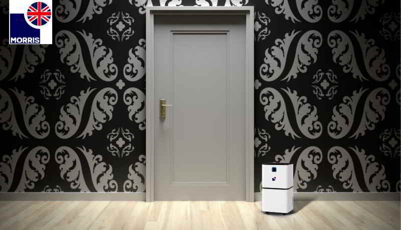 Morris ideal dehumidifier for hallway
